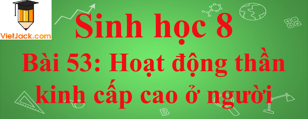 Sinh học lớp 8 Bài 53: Hoạt động thần kinh cấp cao ở người ngắn nhất