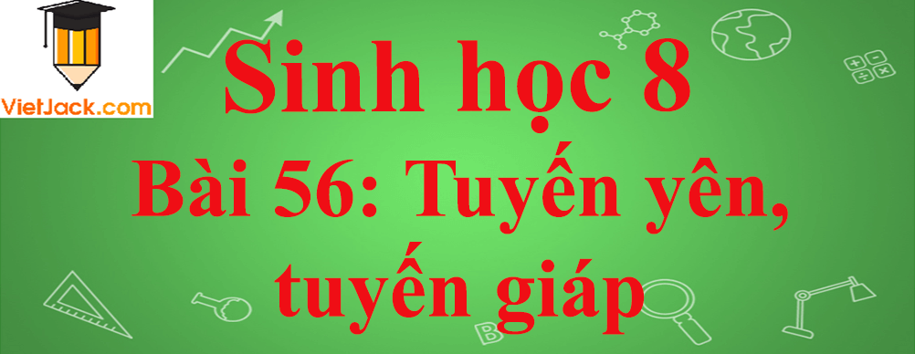 Sinh học lớp 8 Bài 56: Tuyến yên, tuyến giáp ngắn nhất