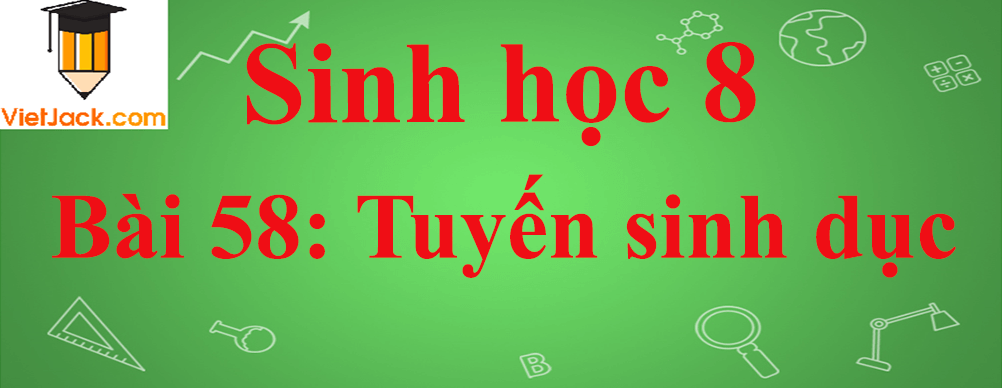 Sinh học lớp 8 Bài 58: Tuyến sinh dục ngắn nhất