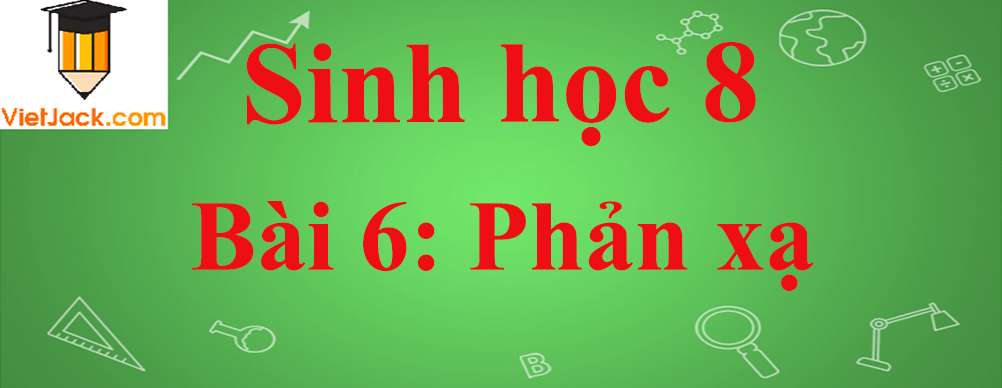 Sinh học lớp 8 Bài 6: Phản xạ ngắn nhất