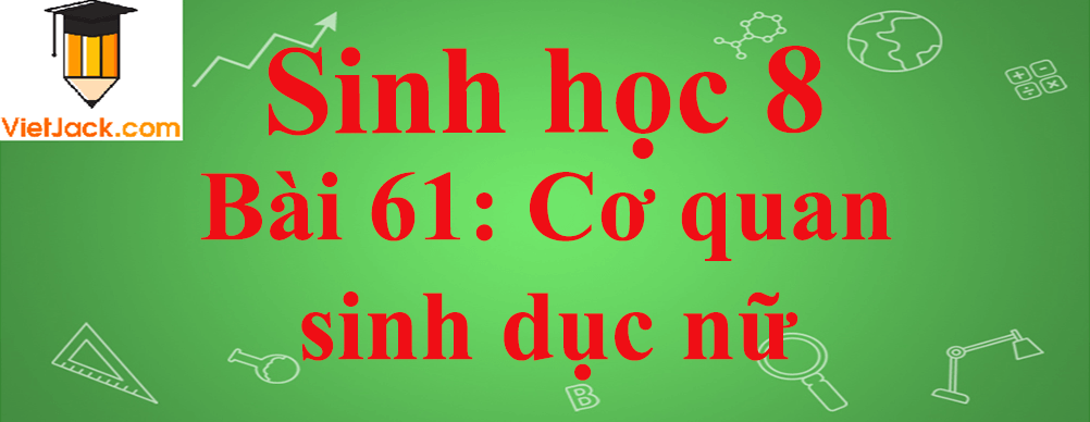 Sinh học lớp 8 Bài 61: Cơ quan sinh dục nữ ngắn nhất