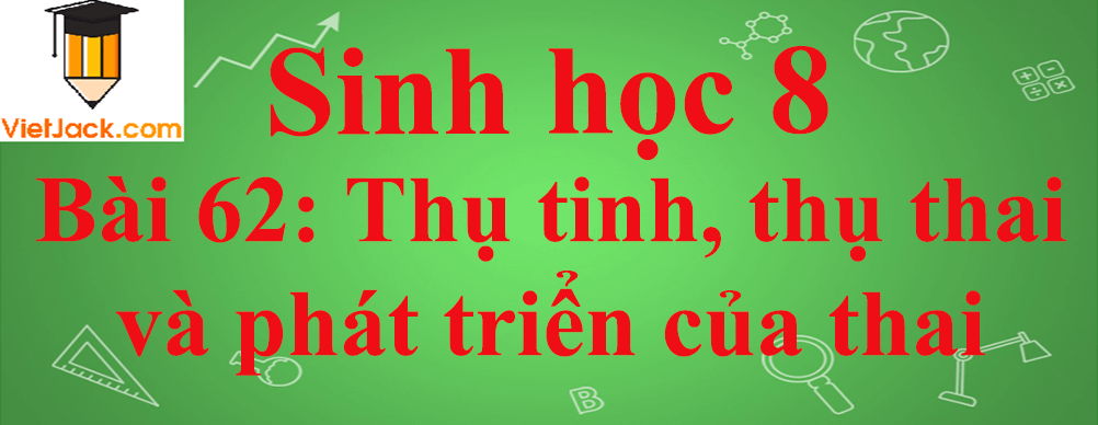 Sinh học lớp 8 Bài 62: Thụ tinh, thụ thai và phát triển của thai ngắn nhất