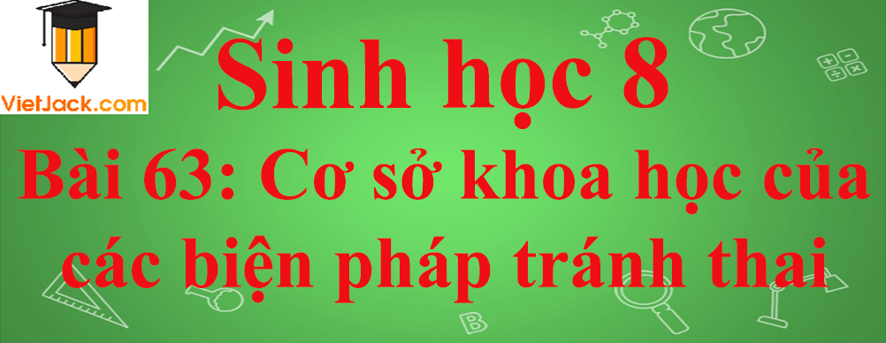 Sinh học lớp 8 Bài 63: Cơ sở khoa học của các biện pháp tránh thai ngắn nhất