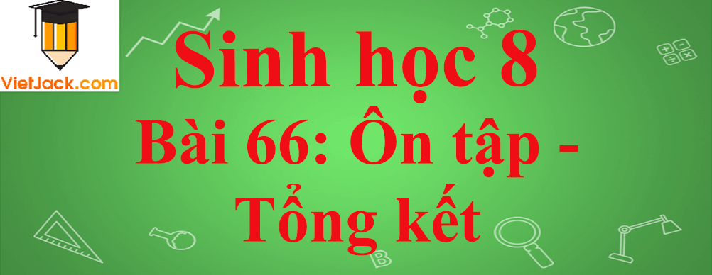 Sinh học lớp 8 Bài 66: Ôn tập - Tổng kết ngắn nhất