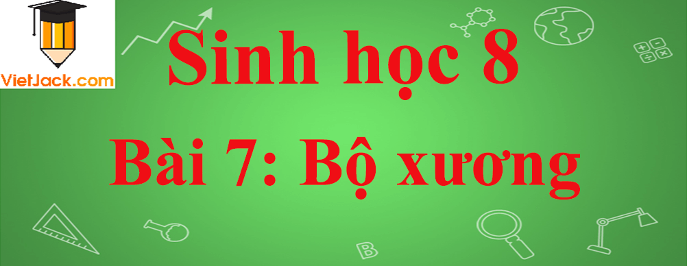 Sinh học lớp 8 Bài 7: Bộ xương ngắn nhất