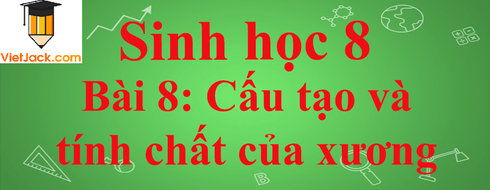 Sinh học lớp 8 Bài 8: Cấu tạo và tính chất của xương ngắn nhất