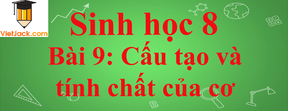 Sinh học lớp 8 Bài 9: Cấu tạo và tính chất của cơ ngắn nhất