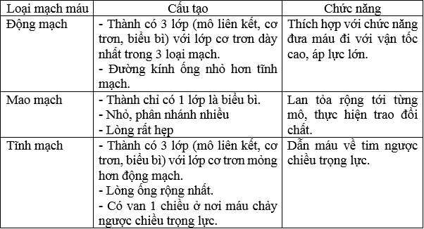 Giải bài tập Sinh học 8 | Trả lời câu hỏi Sinh 8