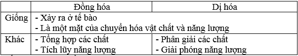 Giải bài tập Sinh học 8 | Trả lời câu hỏi Sinh 8