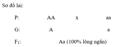 Câu 1 trang 22 Sinh học 9 ngắn nhất