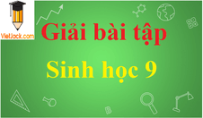 Giải bài tập Sinh 9 ngắn nhất | Trả lời câu hỏi Sinh học 9