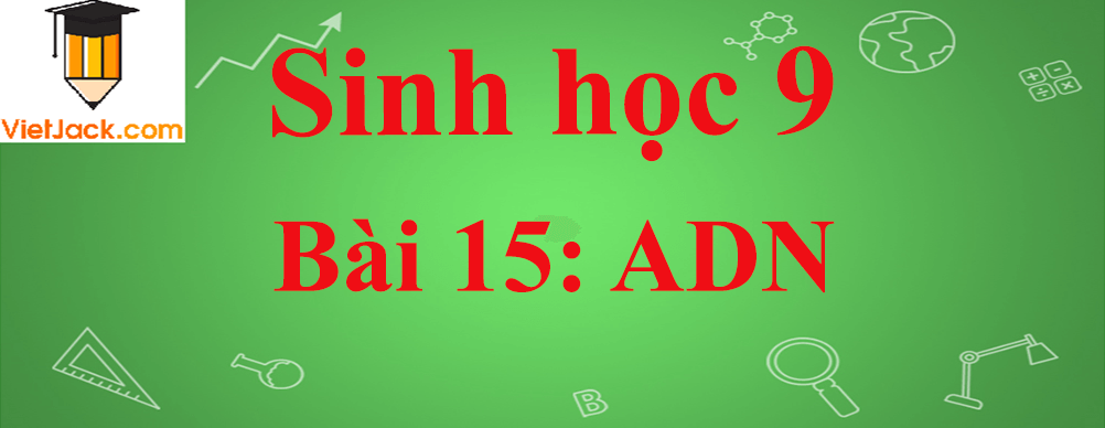 Sinh học lớp 9 Bài 15: ADN ngắn nhất