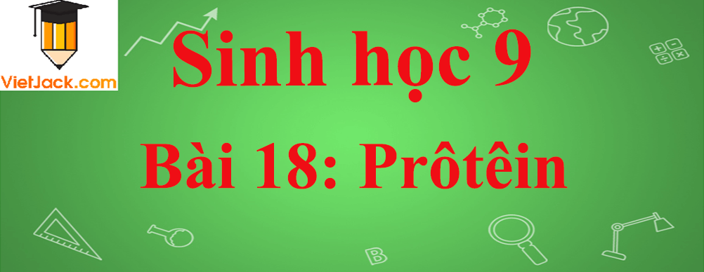 Sinh học lớp 9 Bài 18: Prôtêin ngắn nhất