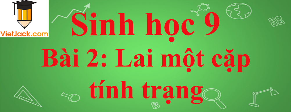 Sinh học lớp 9 Bài 2: Lai một cặp tính trạng ngắn nhất