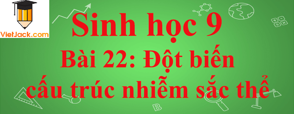 Sinh học lớp 9 Bài 22: Đột biến cấu trúc nhiễm sắc thể ngắn nhất