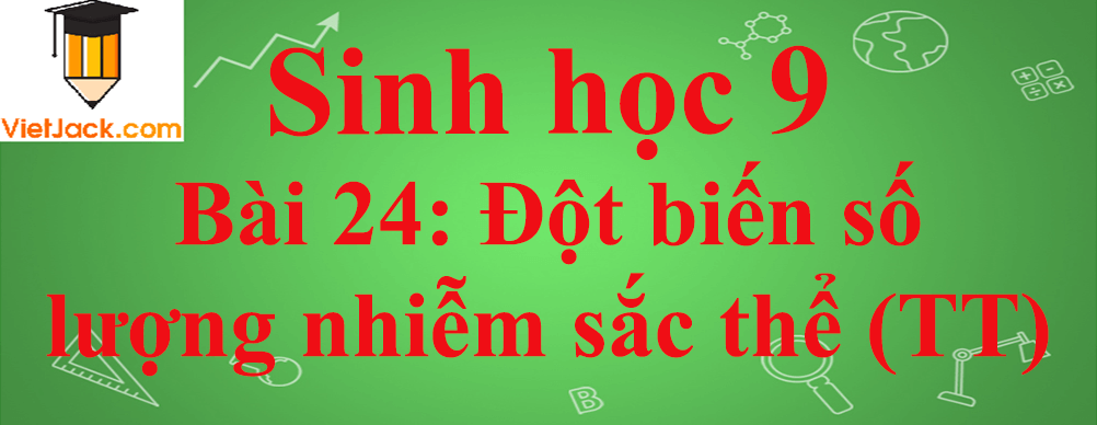 Sinh học lớp 9 Bài 24: Đột biến số lượng nhiễm sắc thể (tiếp theo) ngắn nhất