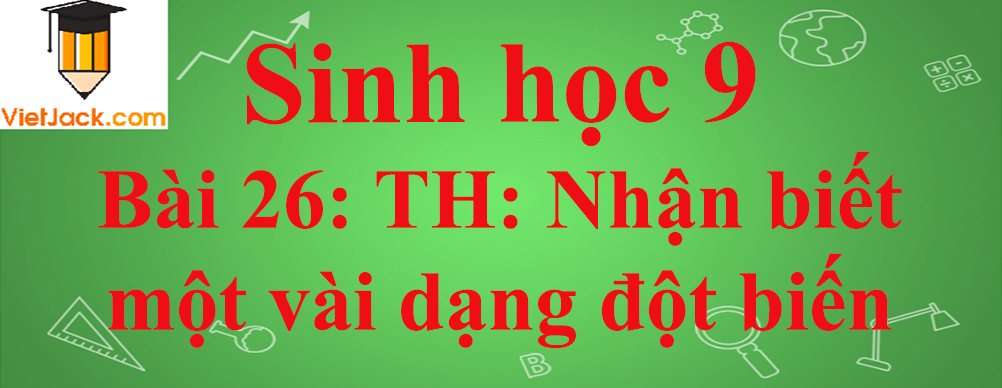 Sinh học lớp 9 Bài 26: Thực hành: Nhận biết một vài dạng đột biến ngắn nhất