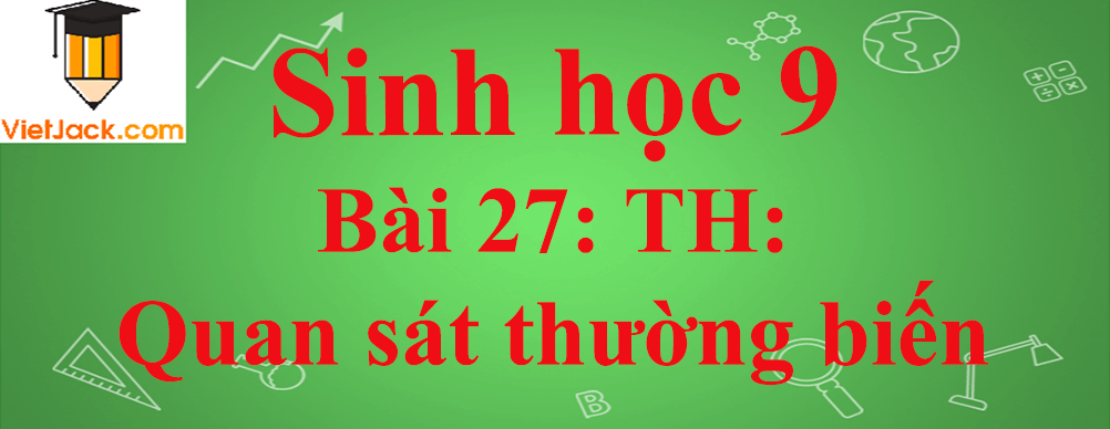 Sinh học lớp 9 Bài 27: Thực hành: Quan sát thường biến ngắn nhất