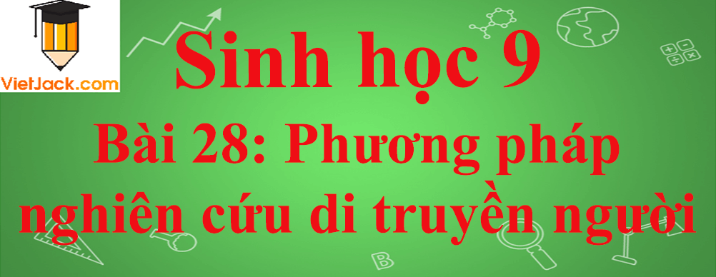 Sinh học lớp 9 Bài 28: Phương pháp nghiên cứu di truyền người ngắn nhất