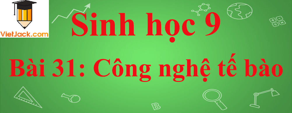 Sinh học lớp 9 Bài 31: Công nghệ tế bào ngắn nhất