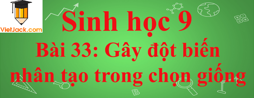 Sinh học lớp 9 Bài 33: Gây đột biến nhân tạo trong chọn giống ngắn nhất