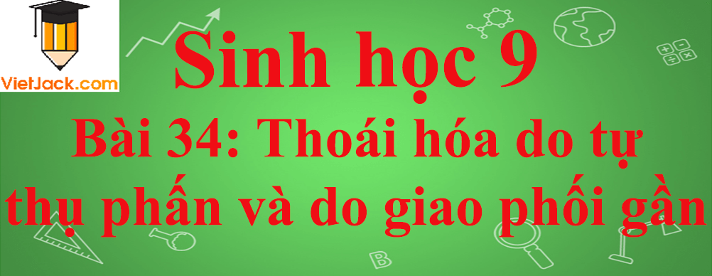 Sinh học lớp 9 Bài 34: Thoái hóa do tự thụ phấn và do giao phối gần ngắn nhất