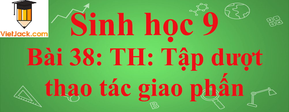 Sinh học lớp 9 Bài 38: Thực hành: Tập dượt thao tác giao phấn ngắn nhất