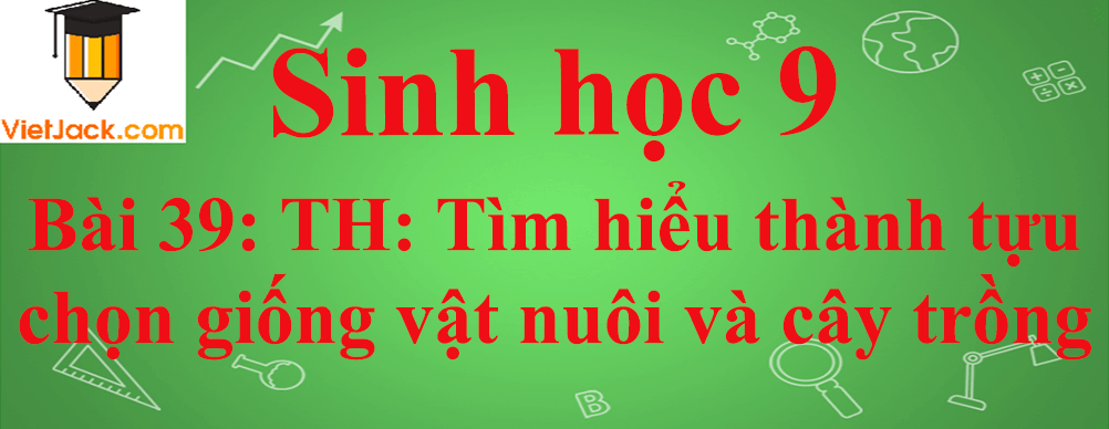 Sinh học lớp 9 Bài 39: Thực hành: Tìm hiểu thành tựu chọn giống vật nuôi và cây trồng ngắn nhất