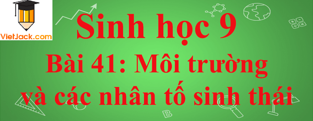 Sinh học lớp 9 Bài 41: Môi trường và các nhân tố sinh thái ngắn nhất