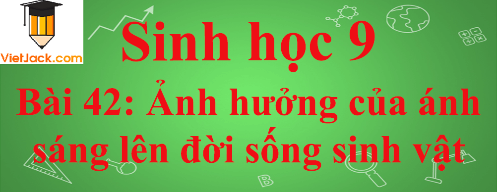 Sinh học lớp 9 Bài 42: Ảnh hưởng của ánh sáng lên đời sống sinh vật ngắn nhất