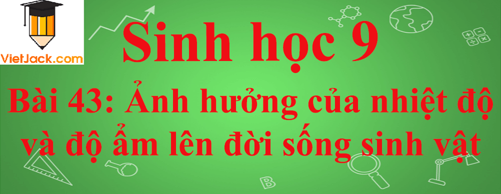 Sinh học lớp 9 Bài 43: Ảnh hưởng của nhiệt độ và độ ẩm lên đời sống sinh vật ngắn nhất