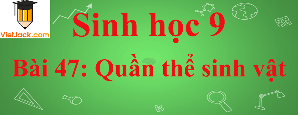 Sinh học lớp 9 Bài 47: Quần thể sinh vật ngắn nhất