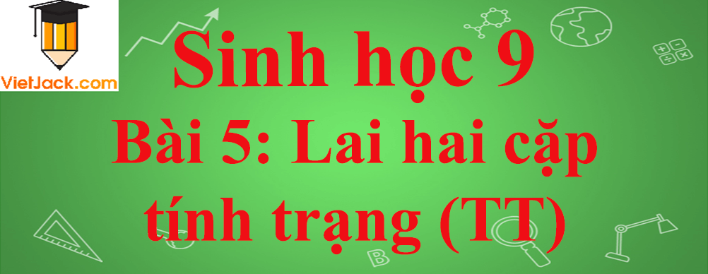 Sinh học lớp 9 Bài 5: Lai hai cặp tính trạng (tiếp theo) ngắn nhất