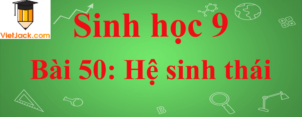 Sinh học lớp 9 Bài 50: Hệ sinh thái ngắn nhất