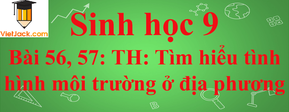 Sinh học lớp 9 Bài 56, 57: Thực hành: Tìm hiểu tình hình môi trường ở địa phương ngắn nhất