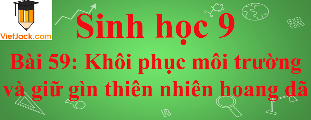 Sinh học lớp 9 Bài 59: Khôi phục môi trường và giữ gìn thiên nhiên hoang dã ngắn nhất