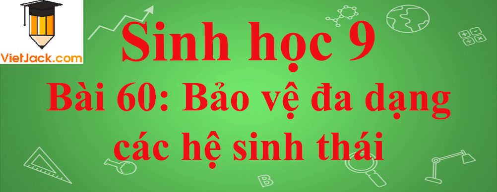 Sinh học lớp 9 Bài 60: Bảo vệ đa dạng các hệ sinh thái ngắn nhất