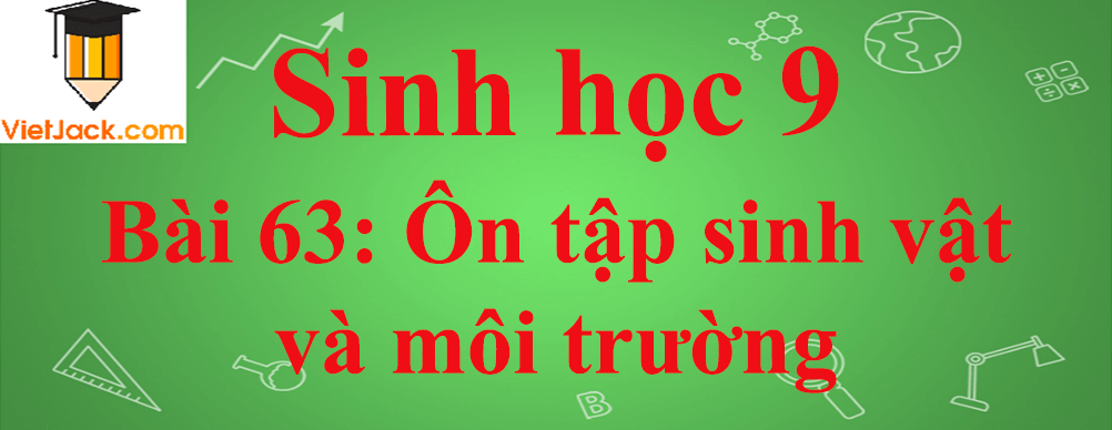 Sinh học lớp 9 Bài 63: Ôn tập phần sinh vật và môi trường ngắn nhất