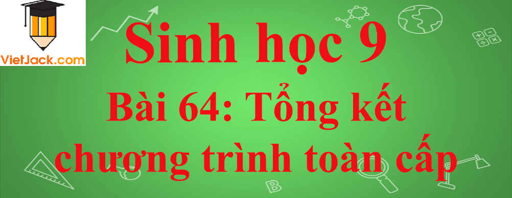 Sinh học lớp 9 Bài 64: Tổng kết chương trình toàn cấp ngắn nhất