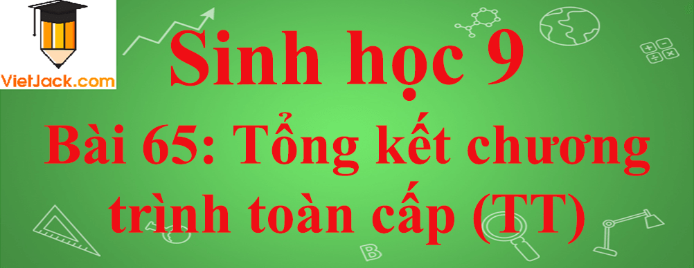 Sinh học lớp 9 Bài 65: Tổng kết chương trình toàn cấp (tiếp theo) ngắn nhất