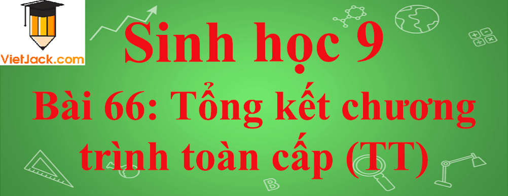 Sinh học lớp 9 Bài 66: Tổng kết chương trình toàn cấp (tiếp theo) ngắn nhất