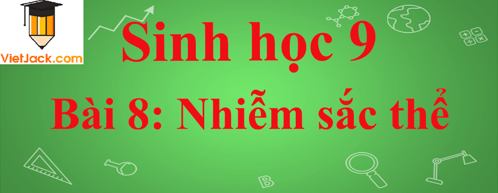 Sinh học lớp 9 Bài 8: Nhiễm sắc thể ngắn nhất