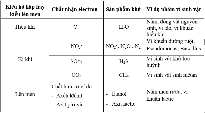 Hãy điền những ví dụ đại diện vào cột thứ bốn trong bảng sau | Để học tốt Sinh 10