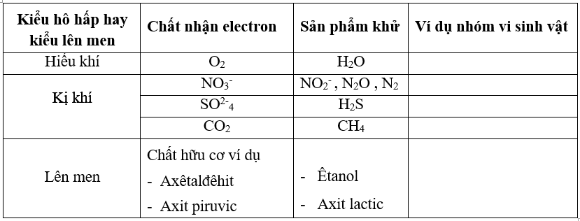 Hãy điền những ví dụ đại diện vào cột thứ bốn trong bảng sau | Để học tốt Sinh 10