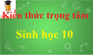 Kiến thức trọng tâm Sinh học 10 đầy đủ, chi tiết