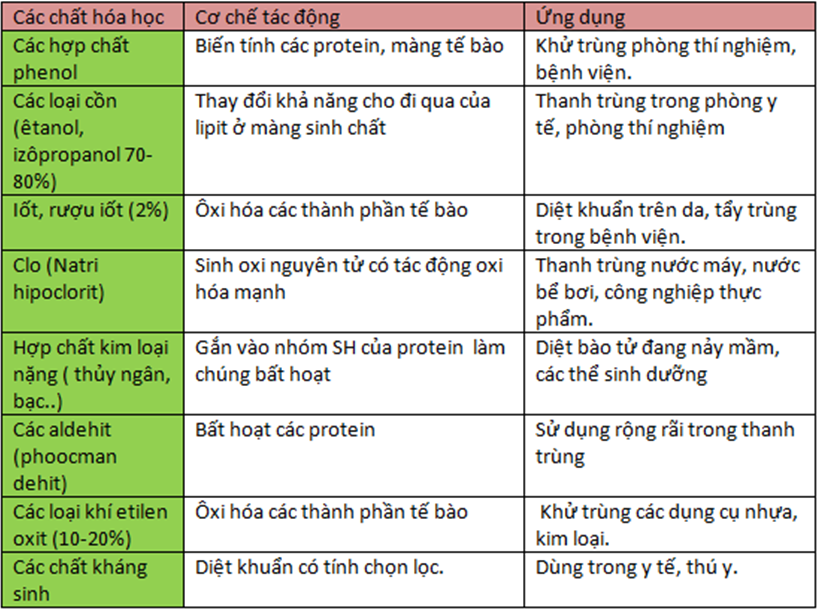 Lý thuyết Sinh học 10 Bài 27 sách mới | Chân trời sáng tạo