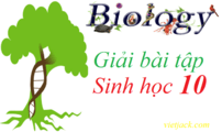 Sinh 10 | Sinh học 10 | Giải Sinh 10 Kết nối tri thức, Chân trời sáng tạo, Cánh diều | Giải bài tập sgk Sinh học 10 hay nhất, ngắn gọn | Giải Sinh lớp 10 | Soạn Sinh 10