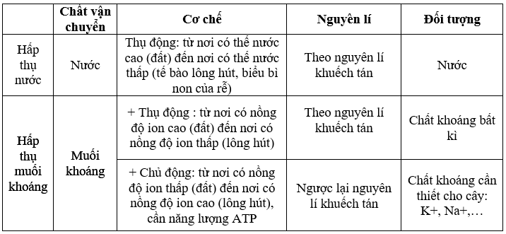 Giải bài 2 trang 9 sgk Sinh 11 | Để học tốt Sinh 11