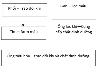 Giải bài 5 trang 96 sgk Sinh 11 | Để học tốt Sinh 11