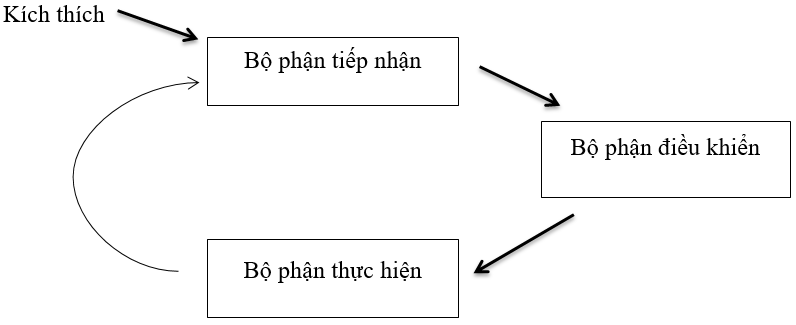 Giải bài 6 trang 96 sgk Sinh 11 | Để học tốt Sinh 11